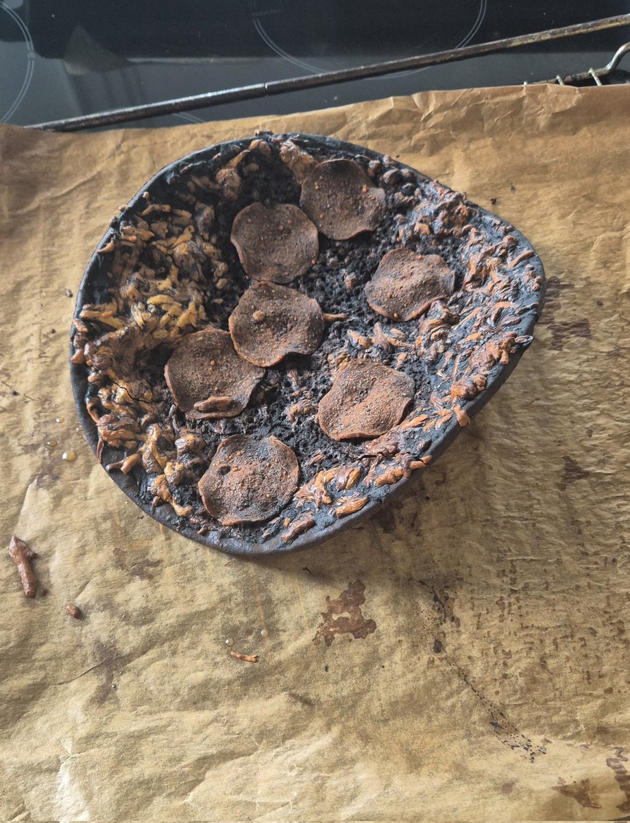 Wenn du am Käsekuchen Backen bist und nichtsahnend den Backofen öffnest...
#backen #Ostern #böseÜberraschung #verbranntepizza  #pubertiere