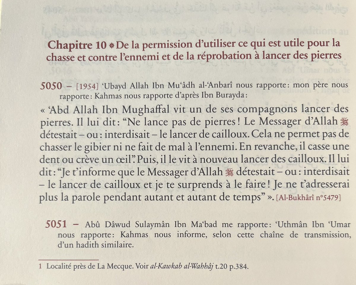 MohamedGlow's tweet photo. « Ne jette pas de cailloux, ça sert à rien. Tue proprement ou abstiens-toi. »Voilà l’esprit du hadith. Quand la sagesse religieuse ressemble à un manuel d’efficacité militaire islamique.
#LibreExamen
#CritiqueDesTextes https://t.co/IUvGs3Fc7I