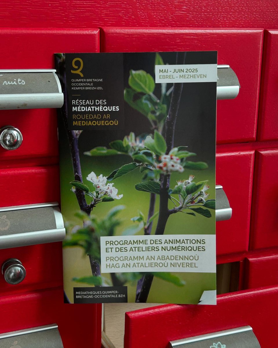 MediaQuimperBO's tweet photo. Le nouveau programme des animations et ateliers numérique est disponible ! 🍃 https://t.co/TQ0Y71EZIS