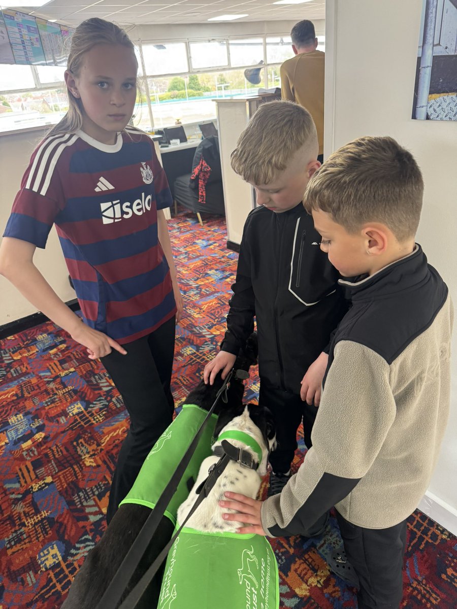 JubileeKennels's tweet photo. We really enjoyed our day at @NewcastleDogs on Good Friday as we had the opportunity to get the beautiful #FootfieldLogan and #AltmoreMidget out there to meet the public and show them what amazing pets greyhounds make. A big thanks also to the track for giving us the platform on such a busy day