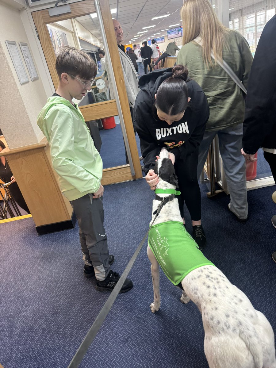 JubileeKennels's tweet photo. We really enjoyed our day at @NewcastleDogs on Good Friday as we had the opportunity to get the beautiful #FootfieldLogan and #AltmoreMidget out there to meet the public and show them what amazing pets greyhounds make. A big thanks also to the track for giving us the platform on such a busy day