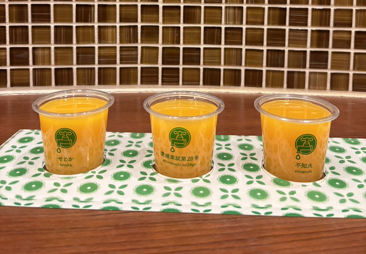 Honoka_NH's tweet photo. 松山しっかり満喫した🍊✨
もう1日くらい居たかった...！ https://t.co/oxQrKBUQkJ