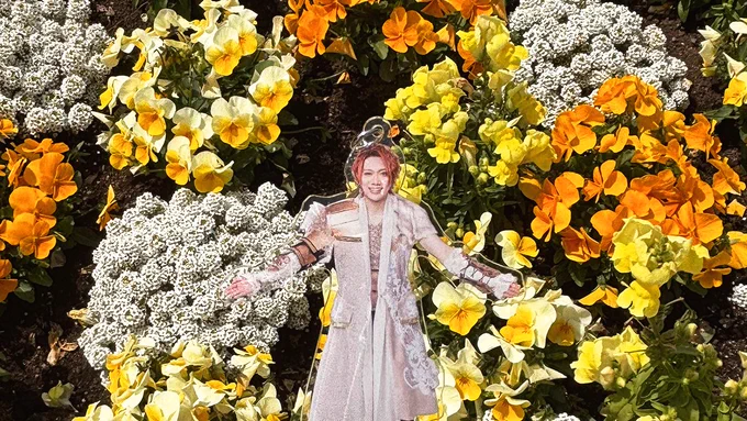 #MSSP横アリフォトコンお花と4人! 