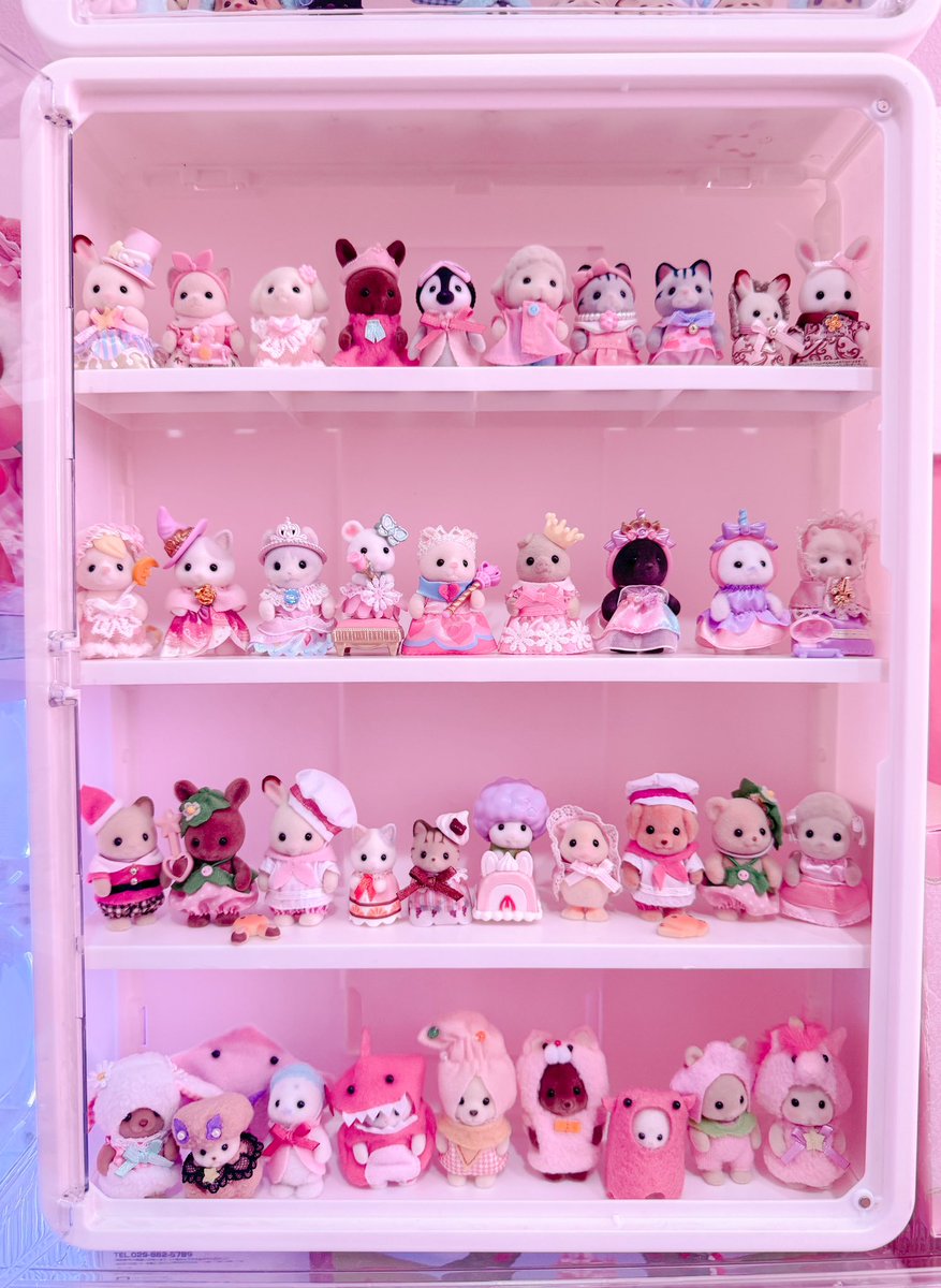 cozysharel's tweet photo. ♡ ‧₊˚ ⋅ ౨ৎ  ‧₊ .ᐟ https://t.co/99f329Pp9h