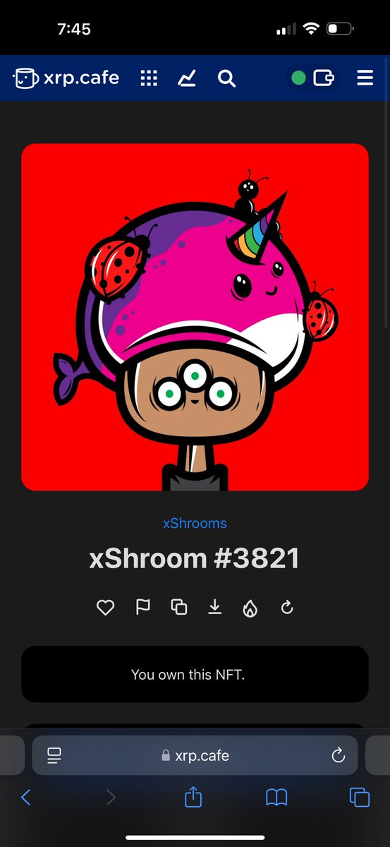 Dood @ 50 xrp I would buy these all day