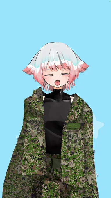 #おまえらの迷彩を見せろ下さい猫迷彩猫がいっぱいいるぞ 