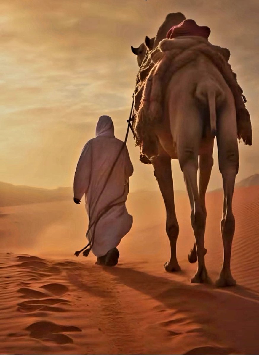 nasser_alyafey's tweet photo. “أنا خيرٌ منه”

كلمة واحدة كانت سببًا في طرد إبليس من الجنة
لم يسرق لم يقتل فقط تكبَّر

الكِبر أول خطيئة في الوجود

 وأخطرها يتسلل بصمت ويفسد القلوب دون أن يشعر صاحبه

لا تظن نفسك أفضل من غيرك
فمن تواضع رُفع ومن تكبَّر سقط

تواضع فالتراب الذي تمشي عليه سيكون غدًا غطاءك https://t.co/kxgh82K7R0
