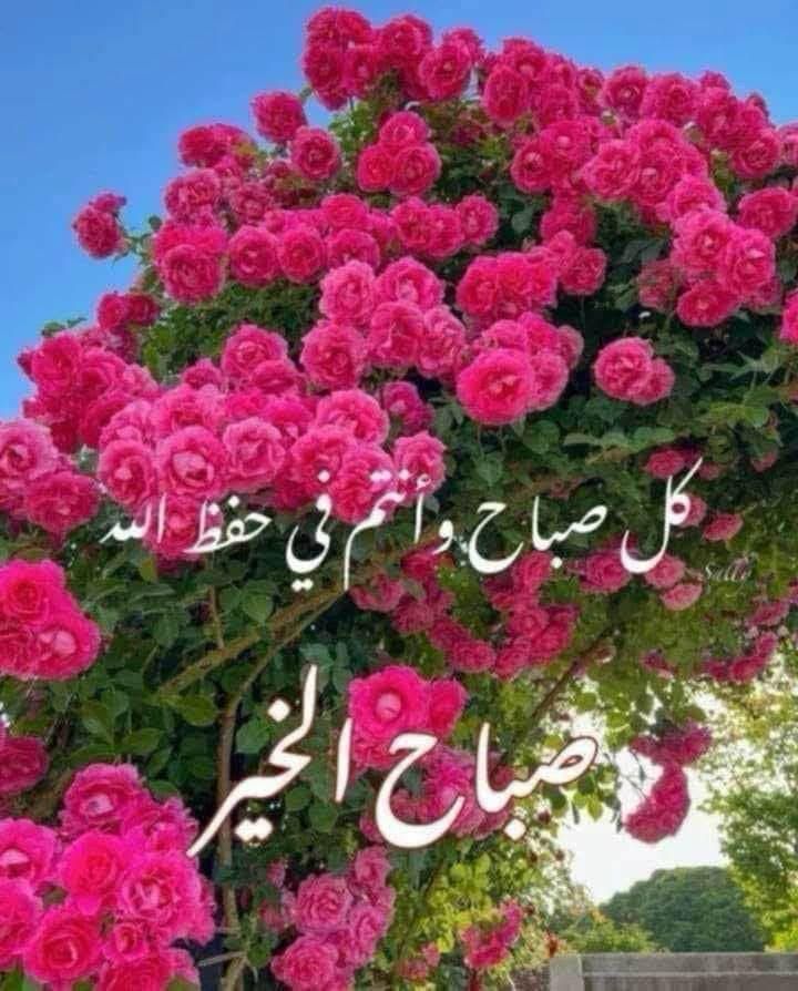 صباح الخير