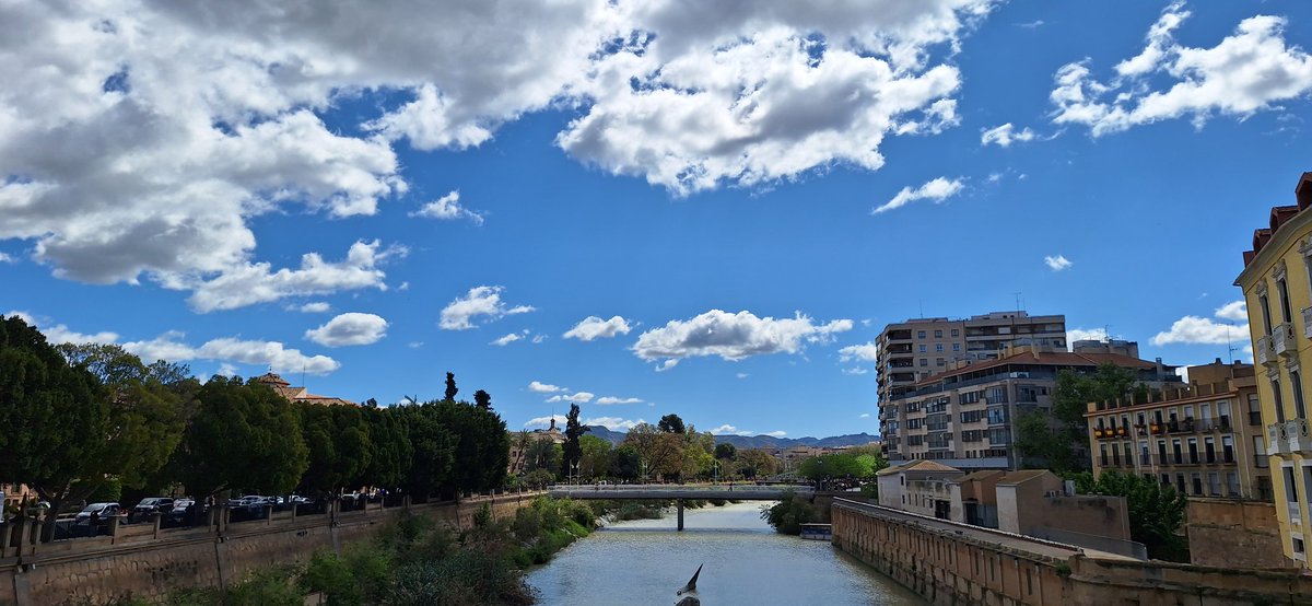 natloji's tweet photo. Murcia con ese cielo precioso de primavera hace unos dias #Fotopostales https://t.co/0LLD6VH67F