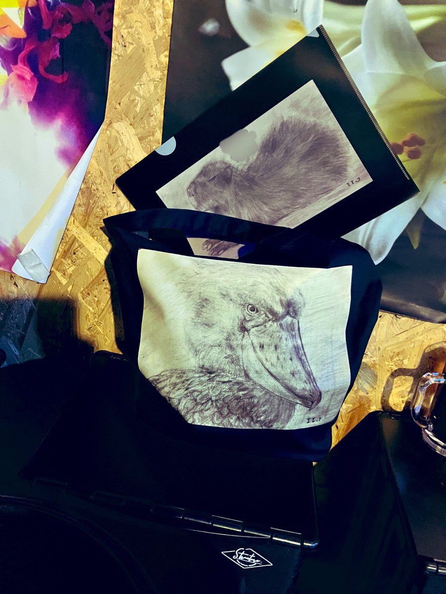 横田惟一郎(zuido) tweet media