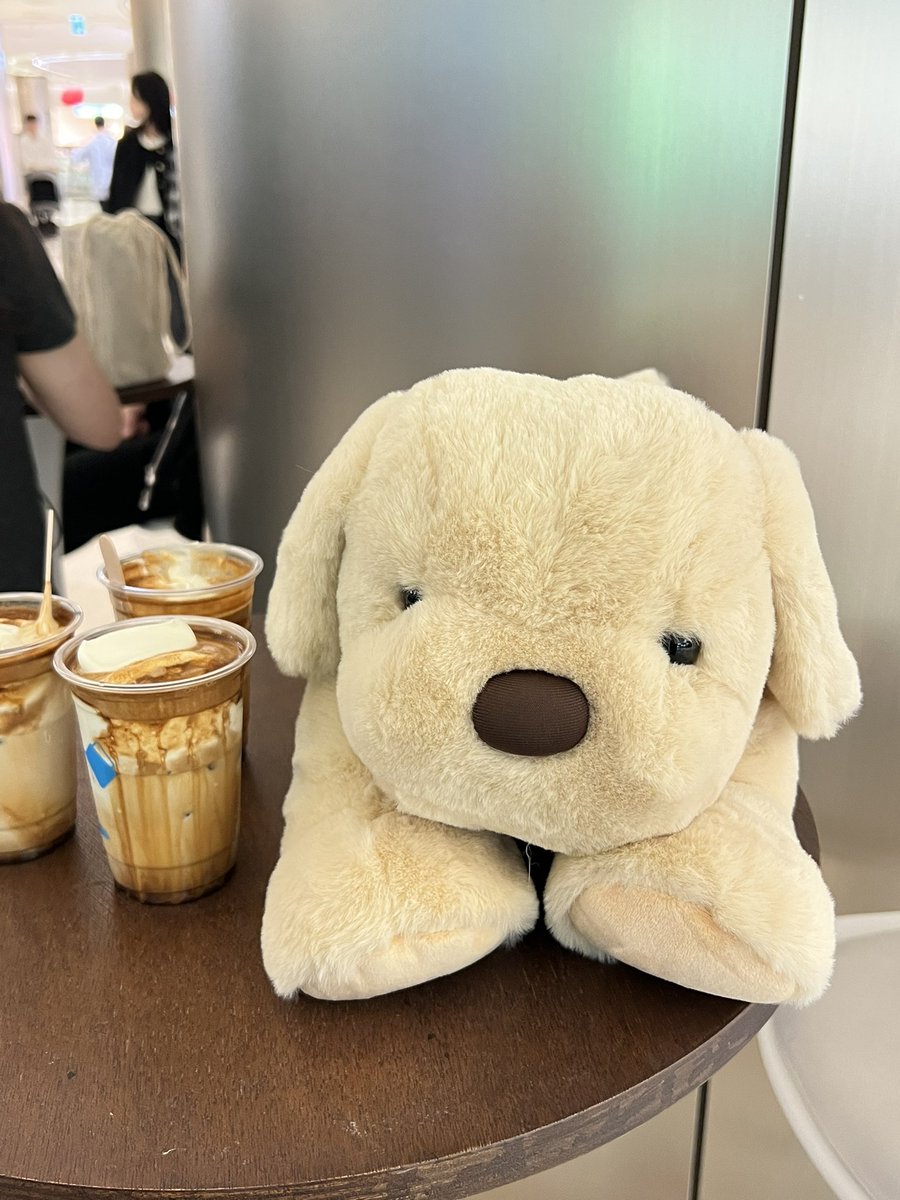 알롱이와 함께하는 행복한 생일 주간🫶🏻
관극하기 전에 미루꾸가서 커피도 마시고 토크타임도 갖고 샤민수 댕댕이 인형 선물까지 받아따😆❣️
생일 축하해줘서 모두들 고마워어💜

#알라딘 #김준수 #샤라딘