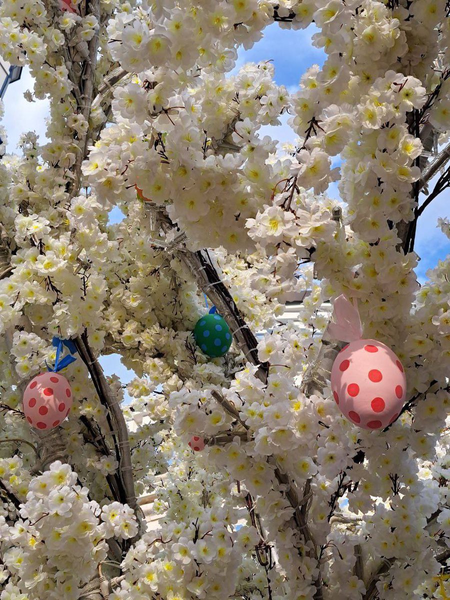 RusEmbIndia's tweet photo. 🥰 Spring mood has come to the #Tsaritsyno Museum-Reserve ✨
#VisitMoscow
#VisitRussia https://t.co/ZnFGhhweJv