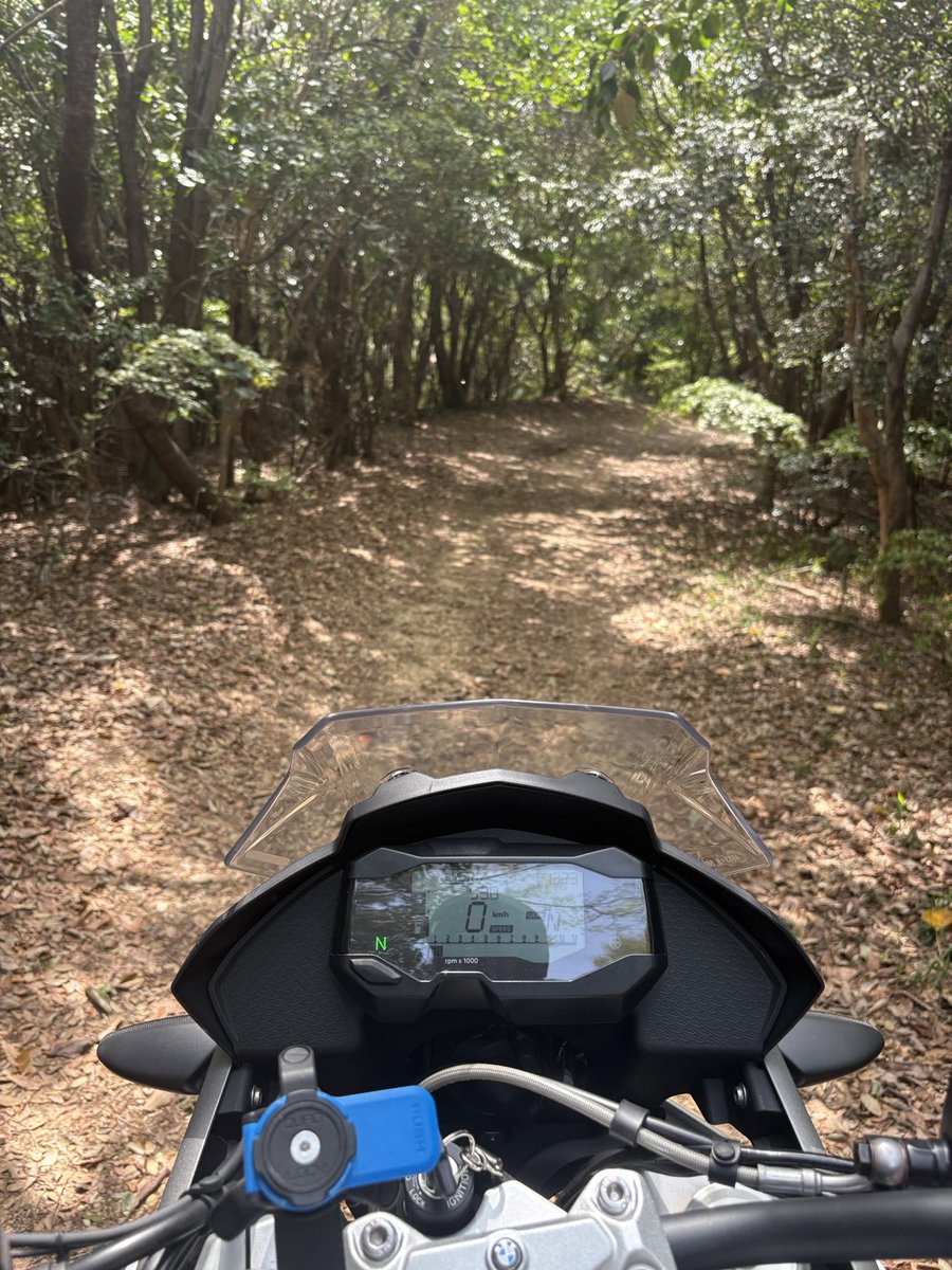 BlueG310gs's tweet photo. 今日の林道😊 https://t.co/Fj7WzvHT5m