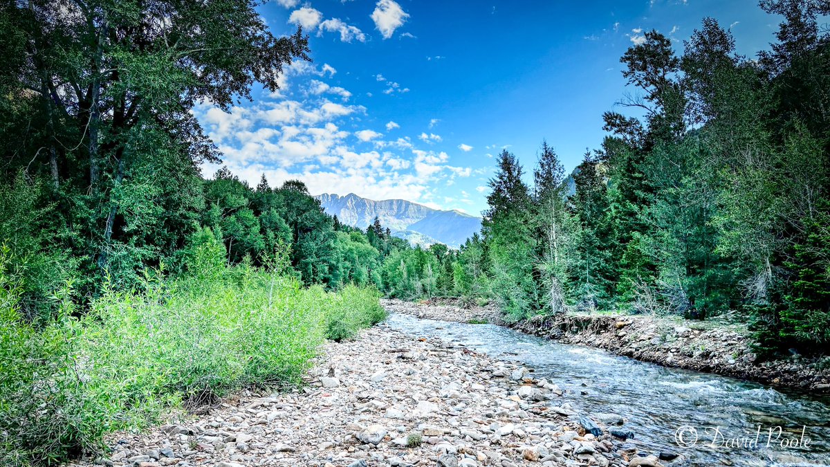 BeyondtheCastDP's tweet photo. A perfect hike along the La Plata River—snowmelt rushing through the valley, columbines blooming by the bank, and wildflowers dancing in the alpine breeze. #ColoradoHiking #LaPlataRiver #MountainViews #WildflowerSeason https://t.co/6a7ObcEGSs