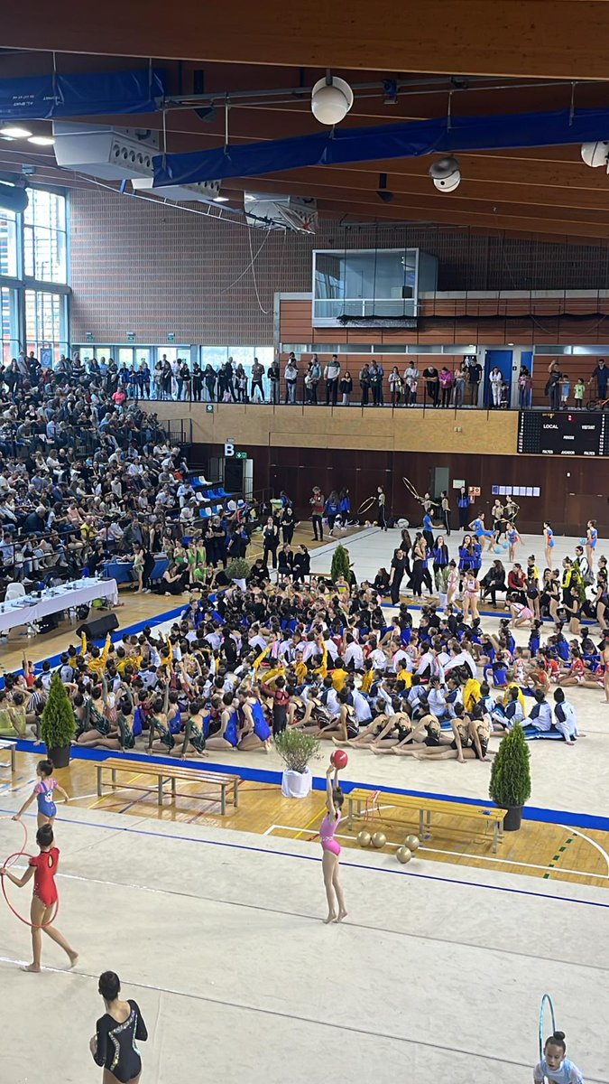 Club Gimnàstica Sant Cugat tweet media