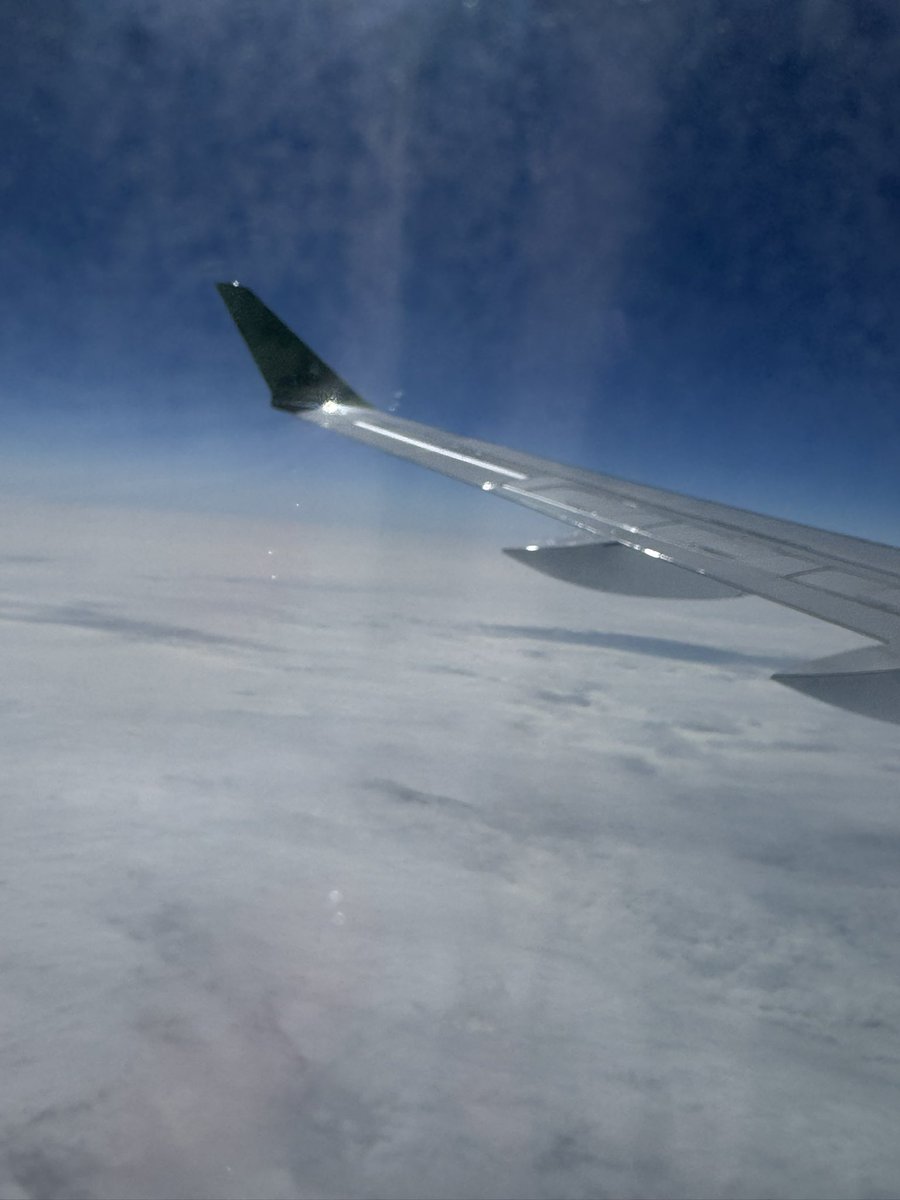 RamonaPETR's tweet image. AirBaltic tomēr ir kāda laba lieta un tas ir Starlink internets. Lidojot varu ne tikai sūtīt bildes no 10 km augstuma, bet arī Flightradar redzēt lidmašīnas atrašanās vietu. @airBaltic @Starlink