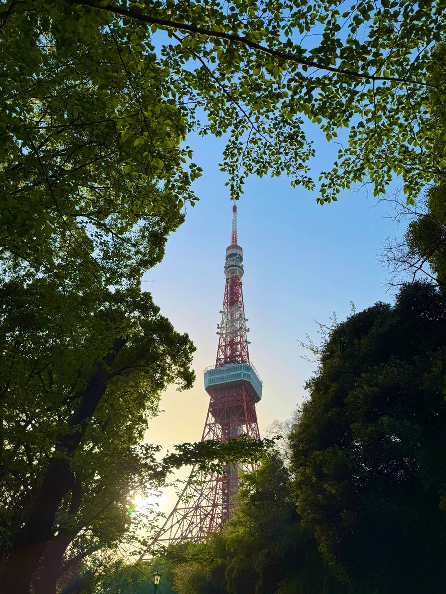 Pixel_Riven's tweet photo. 🗼 https://t.co/Le0TM3pY1R