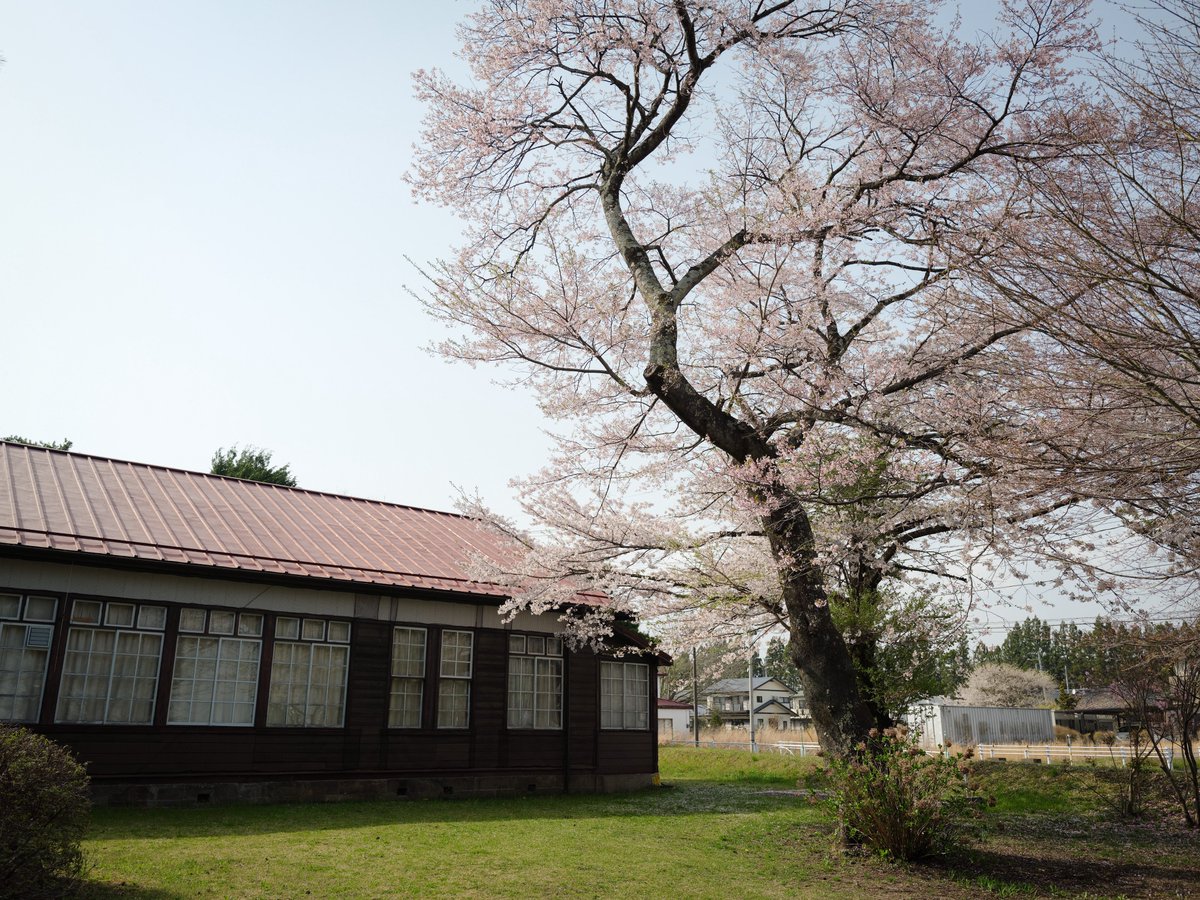 kazuyank's tweet photo. 桜を追いかけて福島までドライブ。
晴天、桜は散り際の満開、見事です。嫁さんも連れてくればよかったなー。
FUJIFILM GFX100RF
Hasselblad X2D 100C + XCD 45mm F4P
#fujifilm #gfx100rf #hasselblad #x2d #xcd45p #fukushima https://t.co/GpHoj1eBrX