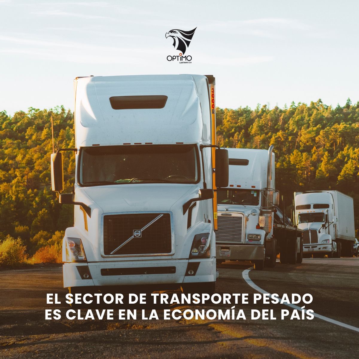 OptimocarTr's tweet photo. El sector transporte terrestre mueve más que mercancías: impulsa empleos, conecta regiones y dinamiza la economía nacional. 

¡Donde hay caminos, hay desarrollo! 💼📈🇪🇨

#OptimoCarTrans #Ecuador #TransportePesado #TransporteTerrestre https://t.co/Xr5DhTcbMX