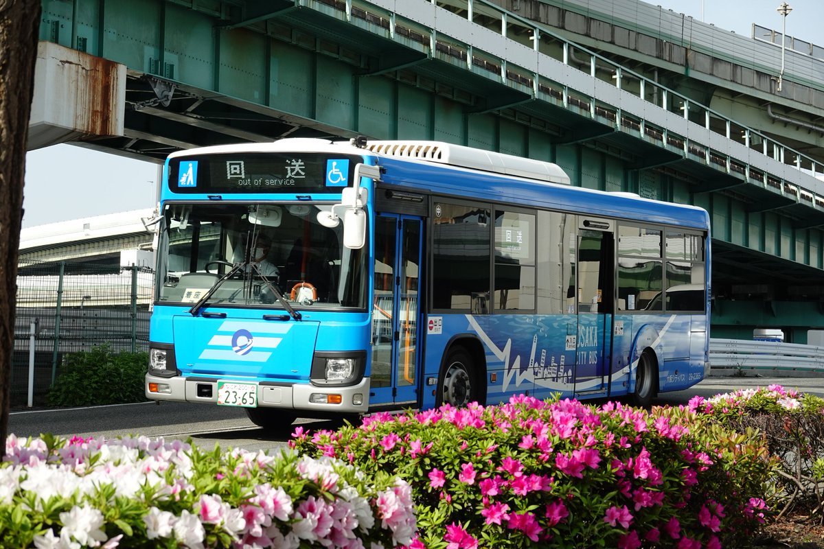 ny90042526's tweet photo. 桜のつぎはツツジが咲きはじめていました🌺築港一丁目～千舟橋
万博の足、中央線との共演を撮影したかったのですが、そうは上手くいきません…
#春の大阪シティバス https://t.co/vXHOGBY7oK