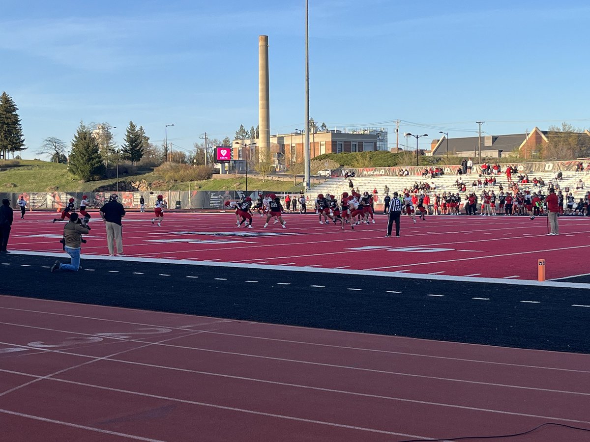 Shari McMahan tweet media