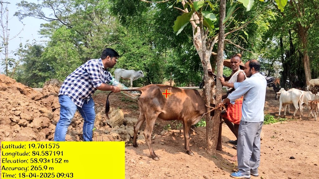 DrAbinashS49218's tweet photo. being privileged is just doing your basics correctly.
#OVSA #GANJAM #infertilitycamp #vet https://t.co/CrOrlpFFrf