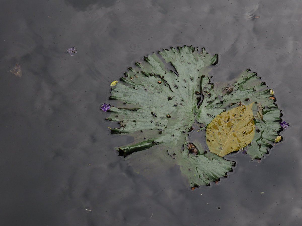 Stryyyyyyyyyyyy's tweet image. 