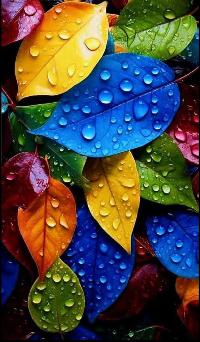 ð ðððððð« (@as_t40) on Twitter photo ð¥#GPG #P_PTiðïž
<a href="/Ghz97/">âªðððððððð ðŠððððâª</a> <a href="/NM1k_/">àŒº ððµð¬ð¬ðµðšð¯ð àŒ»</a> <a href="/MNPTi1/">ð.ðððâââðð²ð«ð°ðŠð£ðïžââ Ø§ØšÙسÙÙ
ââð¶</a>
<a href="/m81mh/">Muhammad Hilal</a> <a href="/As_t40/">ð ðððððð«</a> <a href="/Mir44_/">SáŽoÍ¥keÍ£rÍ« àœŒ ðŠ
</a>
<a href="/Trq88/">âïžâžðÎ±ÉŸÎ¹Ï ðÏ
ÉŸÆÎ±È¥Î±à¿</a>
<a href="/1lsura/">ðð¡ ððð¡ð¢ð«ð«</a>
<a href="/Hfz48/">HáŽÒáŽáŽáŽ¢áŽÊ AáŽÊáŽÊ</a>
<a href="/Aj__55/">Ajnabi monda</a>
<a href="/ik_553/">.â â â â âðãã¹ã«ã³ ðð®ð¬ð€ðð§ð. â â â â â âð</a>
<a href="/4mir_8/">Aamir Hayat Awan</a>
<a href="/B_Ali11/">â¯ððð ðððð ðððððð¢ðâ¯ðµð°ðºðž âïžðŠ</a>
<a href="/n_oo_r7/">Ù
Ø§Û ÙÙØ±ð«</a>
<a href="/shz787/">ðâïžððsÊáŽÊᎢáŽáŽ
áŽáŽÉŽÉªÊðâïžðâïž</a>
<a href="/__Libra1/">ððððð ððððð</a>
<a href="/bndy66/">Asil khawaja 55</a>
<a href="/IKVEBS/">ðððððð¢ ðŸð ðððð</a>
<a href="/Aa_ban1/">âïž» #TmGriffinsðŠ
ïž»â</a>
<a href="/Sprxzy2/">Umar PTI</a>
<a href="/SKN322/">SHAHRYAR KHAN</a>
<a href="/zimal293/">ðŠðáŽsÊɪáŽ
áŽÊðŠ</a>
<a href="/Sc2017W/">SC2017</a>
<a href="/PTi___786/">â«â« ðð£ð€ ðžðŠð£ðððð«ððð â¬â¬</a>
<a href="/SKPTI804/">ê±áŽÊáŽáŽÉŽ áŽáŽáŽÊáŽÉŽ áµáµáµáµË¢áµáµ</a>
<a href="/m3565jutt/">Mubasharð«</a>
<a href="/CarloSportfan/">SportISmyLIFE âœâŸððððŸð³ððâ³</a> <a href="/glmsjd/">ðºððððð
âš</a>
<a href="/Fat9T/">Arshiaðð¥</a> <a href="/Lub_03/">â¿ððððð ðšððâ¿</a> <a href="/Y22NY/">YASEEN</a> ð¥#GPG #P_PTiðïž
<a href="/Ghz97/">âªðððððððð ðŠððððâª</a> <a href="/NM1k_/">àŒº ððµð¬ð¬ðµðšð¯ð àŒ»</a> <a href="/MNPTi1/">ð.ðððâââðð²ð«ð°ðŠð£ðïžââ Ø§ØšÙسÙÙ
ââð¶</a>
<a href="/m81mh/">Muhammad Hilal</a> <a href="/As_t40/">ð ðððððð«</a> <a href="/Mir44_/">SáŽoÍ¥keÍ£rÍ« àœŒ ðŠ
</a>
<a href="/Trq88/">âïžâžðÎ±ÉŸÎ¹Ï ðÏ
ÉŸÆÎ±È¥Î±à¿</a>
<a href="/1lsura/">ðð¡ ððð¡ð¢ð«ð«</a>
<a href="/Hfz48/">HáŽÒáŽáŽáŽ¢áŽÊ AáŽÊáŽÊ</a>
<a href="/Aj__55/">Ajnabi monda</a>
<a href="/ik_553/">.â â â â âðãã¹ã«ã³ ðð®ð¬ð€ðð§ð. â â â â â âð</a>
<a href="/4mir_8/">Aamir Hayat Awan</a>
<a href="/B_Ali11/">â¯ððð ðððð ðððððð¢ðâ¯ðµð°ðºðž âïžðŠ</a>
<a href="/n_oo_r7/">Ù
Ø§Û ÙÙØ±ð«</a>
<a href="/shz787/">ðâïžððsÊáŽÊᎢáŽáŽ
áŽáŽÉŽÉªÊðâïžðâïž</a>
<a href="/__Libra1/">ððððð ððððð</a>
<a href="/bndy66/">Asil khawaja 55</a>
<a href="/IKVEBS/">ðððððð¢ ðŸð ðððð</a>
<a href="/Aa_ban1/">âïž» #TmGriffinsðŠ
ïž»â</a>
<a href="/Sprxzy2/">Umar PTI</a>
<a href="/SKN322/">SHAHRYAR KHAN</a>
<a href="/zimal293/">ðŠðáŽsÊɪáŽ
áŽÊðŠ</a>
<a href="/Sc2017W/">SC2017</a>
<a href="/PTi___786/">â«â« ðð£ð€ ðžðŠð£ðððð«ððð â¬â¬</a>
<a href="/SKPTI804/">ê±áŽÊáŽáŽÉŽ áŽáŽáŽÊáŽÉŽ áµáµáµáµË¢áµáµ</a>
<a href="/m3565jutt/">Mubasharð«</a>
<a href="/CarloSportfan/">SportISmyLIFE âœâŸððððŸð³ððâ³</a> <a href="/glmsjd/">ðºððððð
âš</a>
<a href="/Fat9T/">Arshiaðð¥</a> <a href="/Lub_03/">â¿ððððð ðšððâ¿</a> <a href="/Y22NY/">YASEEN</a>