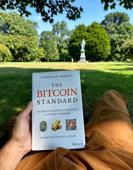 BullishCherry's tweet image. My favorite crypto book is 
&quot;The Bitcoin Standard&quot; by Saifedean Ammous! 🚀 It’s a must-read for anyone looking to understand Bitcoin’s role as sound money and its economic implications.  

#BitgetBookChallenge