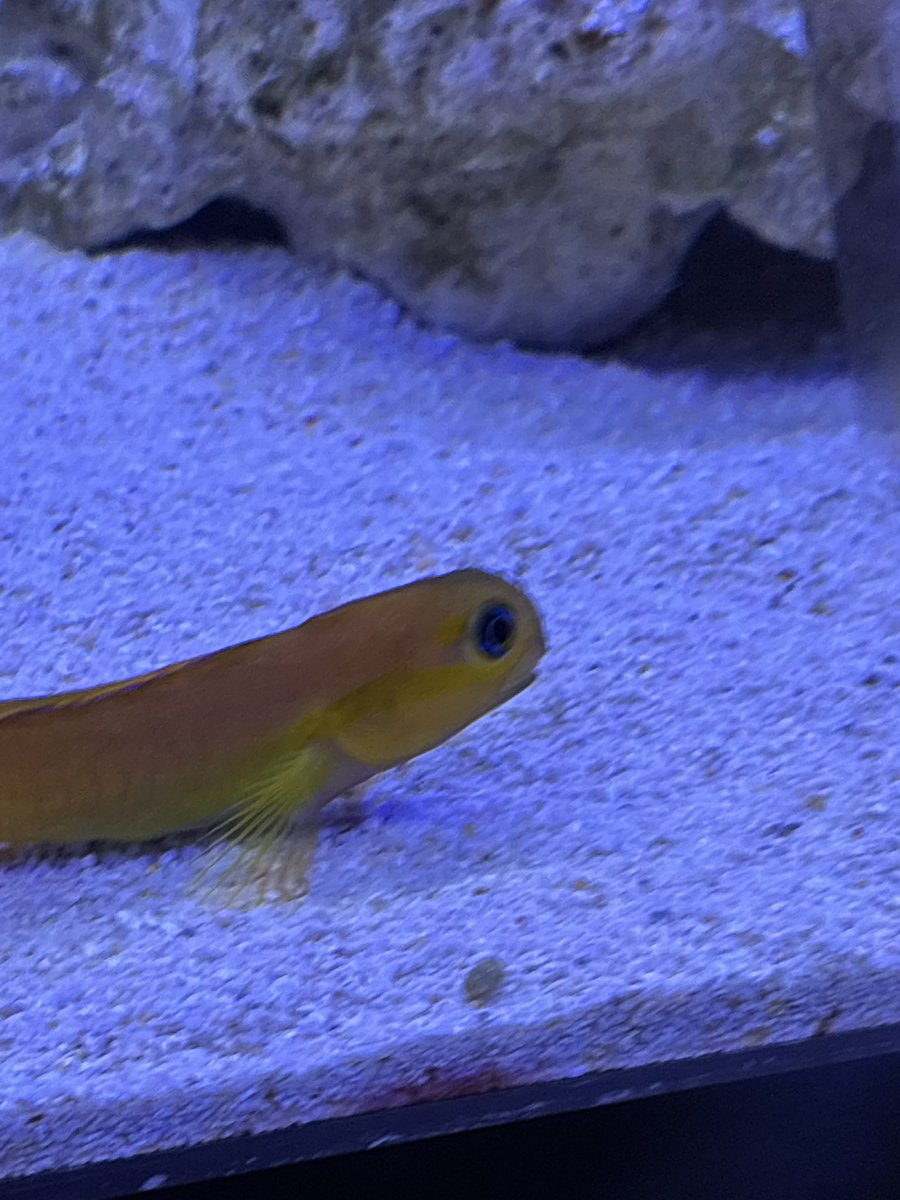 <a href="/bobonnnnnnnu_/">ぼぼんぬ_。</a> とあそんだ！
ぼぼんぬと遊ぶの本当に楽しい😭😭💕また遊ぼう！！！ディズニー2人で一緒に行こうね！