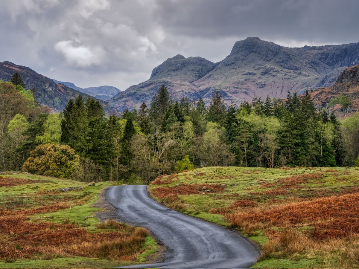 Morning everyone I hope you are well. The road to the Langdales. Elterwater Common. Have a great day. 

#LakeDistrict