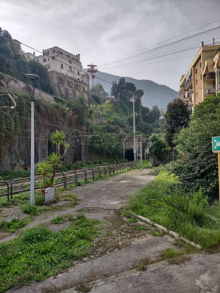 Spondon Bongles tweet media