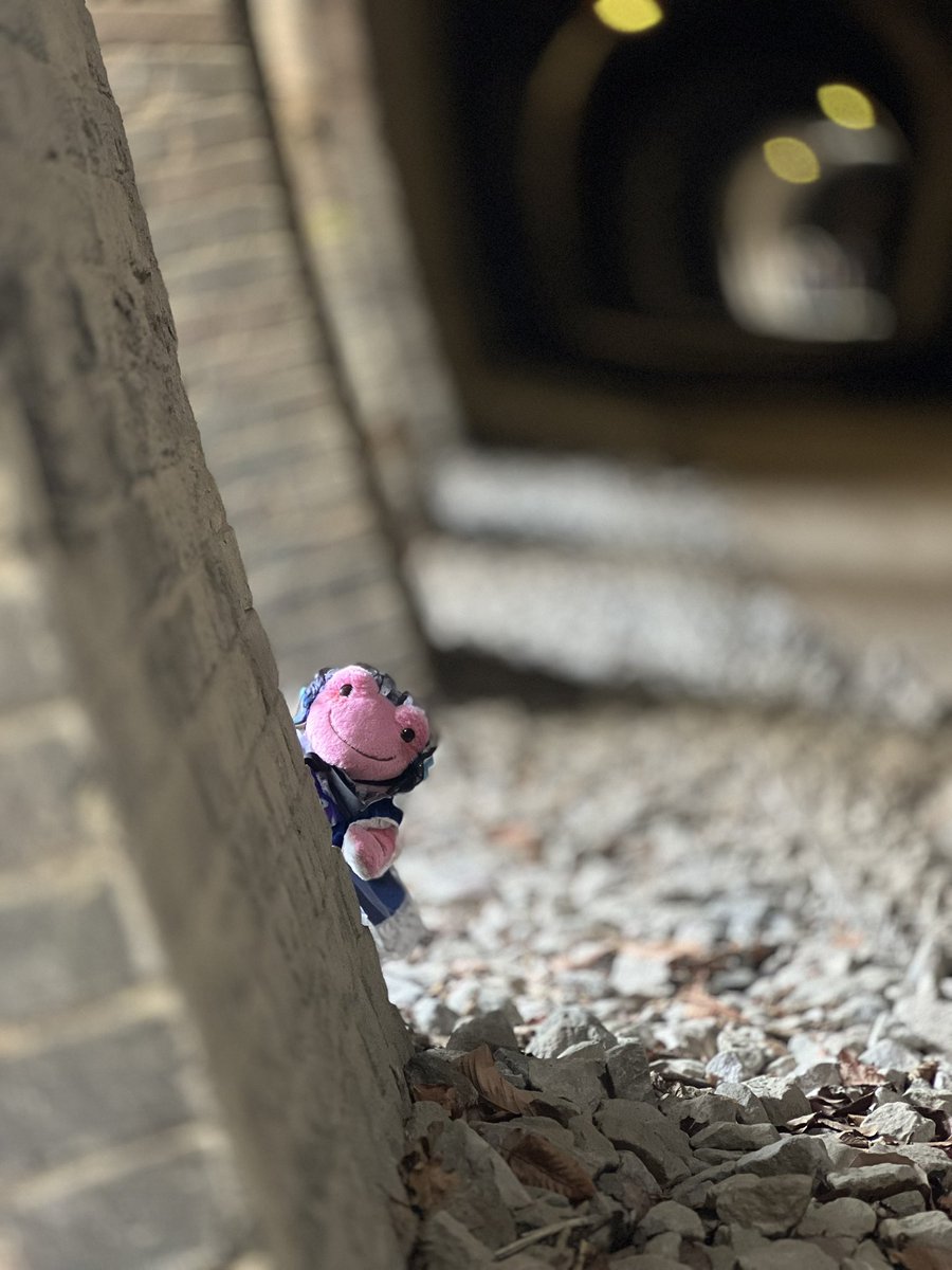 あーさぁ🛌 tweet media