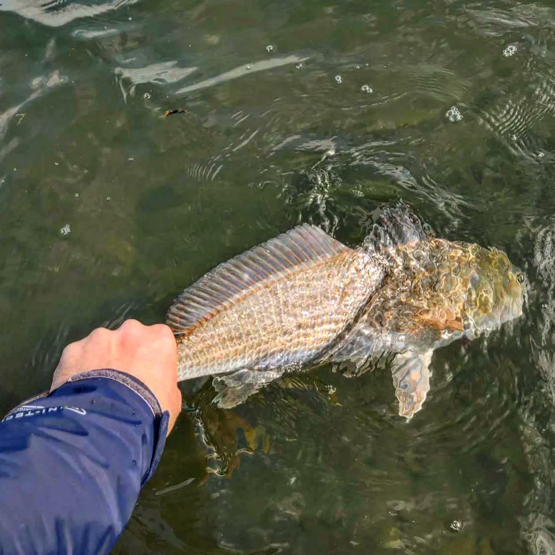 Between Two Falls tweet media