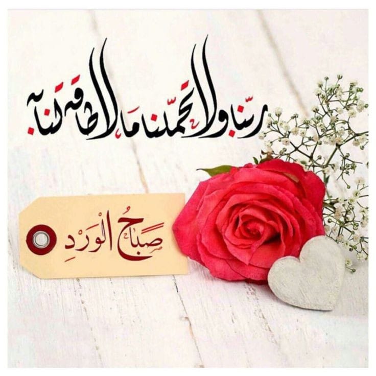 اسلام علیکم ورحمتہ اللہ وبرکاتہ 
بسم اللّٰہ الرحمٰن الرحیم 
صلی اللّٰہ علیہ وآلہ وسلم 
خوش رہیں اور خوشیاں بانٹیں