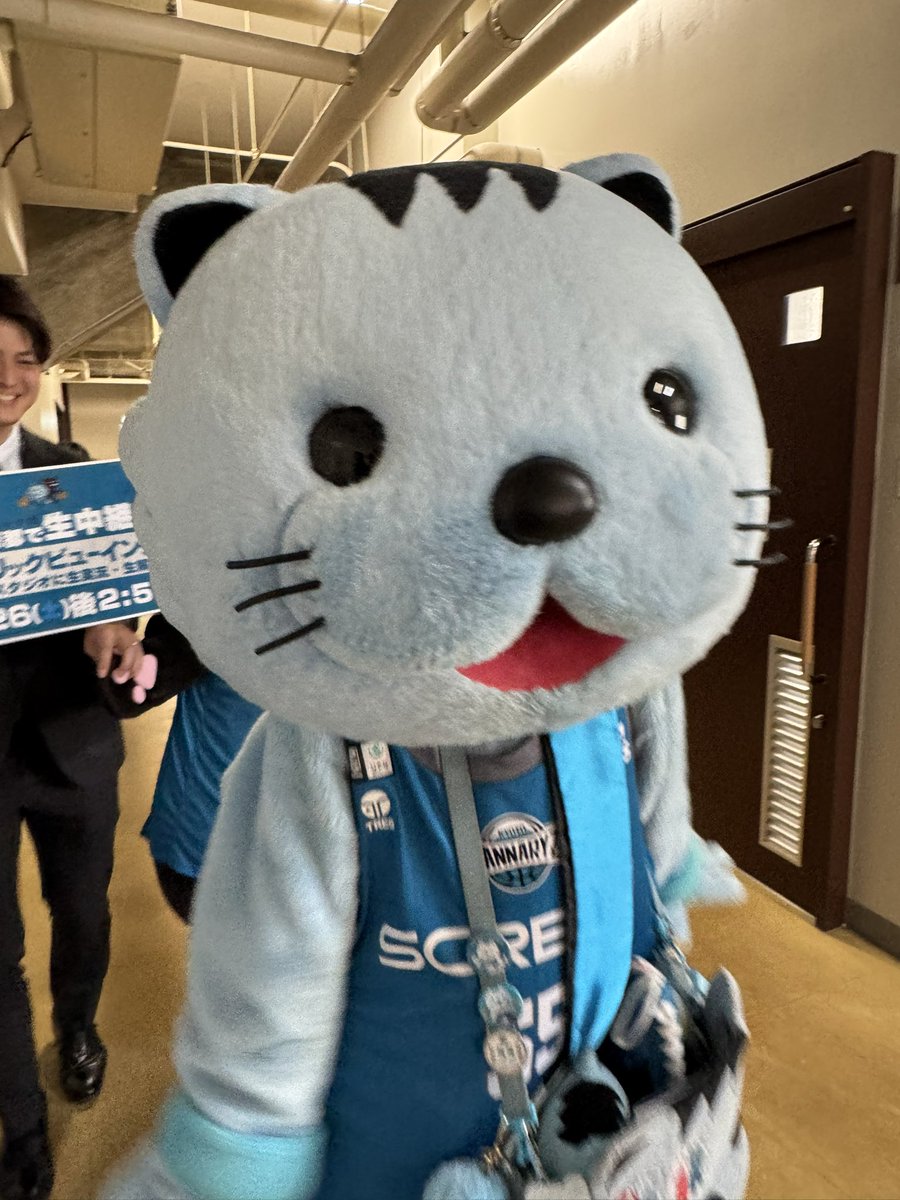 ねこまる ねこまる