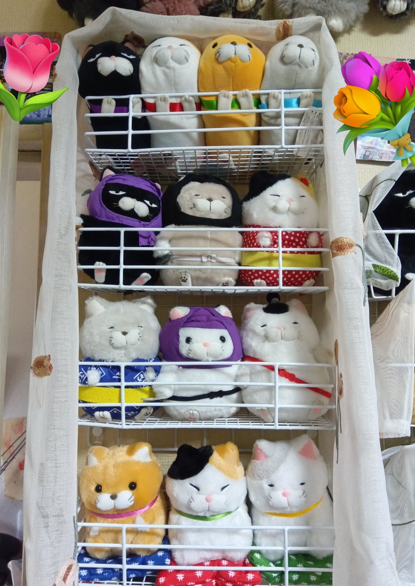 ayamerody13's tweet photo. 一区画、増設したฅ⁠^⁠•⁠ﻌ⁠•⁠^⁠ฅ
なるべくカゴ統一して、
新しい子達少し増えたから
並び替えしたよ(⁠.⁠ ⁠❛⁠ ⁠ᴗ⁠ ⁠❛⁠.⁠)
まだ収納足りないから
そのうちまた増設する(⁠´⁠ ⁠.⁠ ⁠.̫⁠ ⁠.⁠ ⁠`⁠) https://t.co/wNazsisK8B