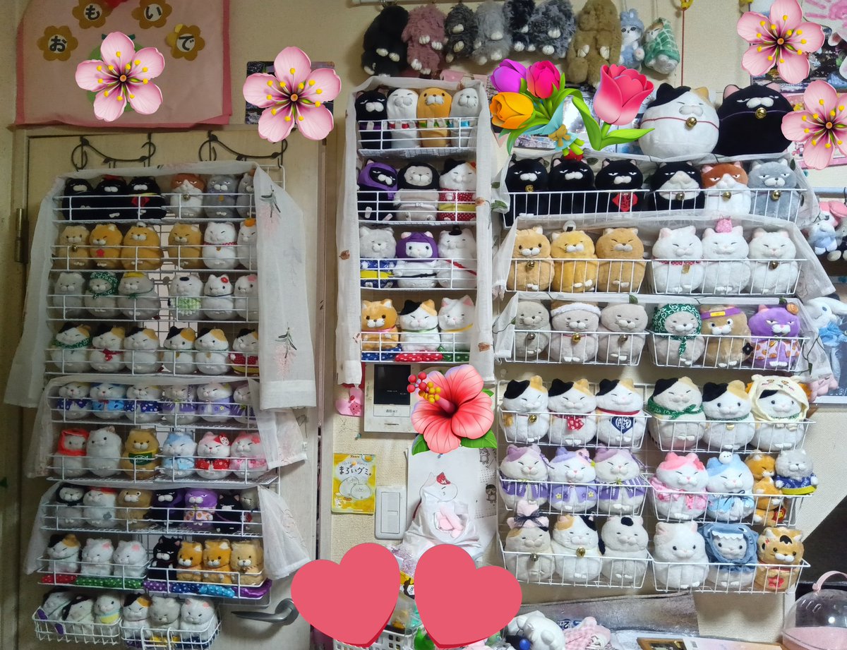 ayamerody13's tweet photo. 一区画、増設したฅ⁠^⁠•⁠ﻌ⁠•⁠^⁠ฅ
なるべくカゴ統一して、
新しい子達少し増えたから
並び替えしたよ(⁠.⁠ ⁠❛⁠ ⁠ᴗ⁠ ⁠❛⁠.⁠)
まだ収納足りないから
そのうちまた増設する(⁠´⁠ ⁠.⁠ ⁠.̫⁠ ⁠.⁠ ⁠`⁠) https://t.co/wNazsisK8B
