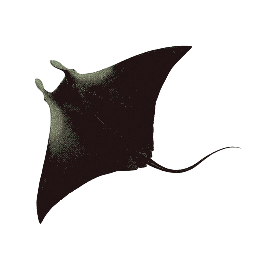 solvetcoagola tweet picture
