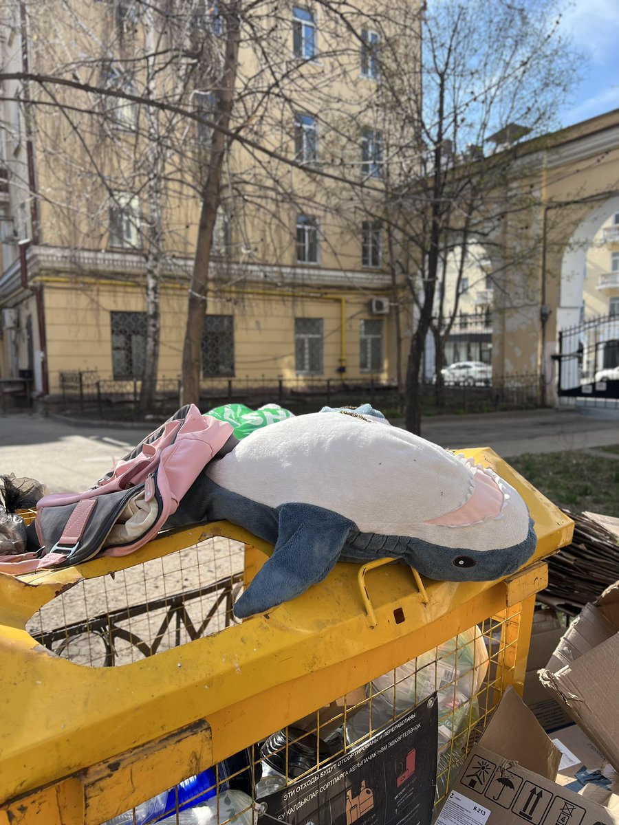 эчпочмак и комбикорм tweet media