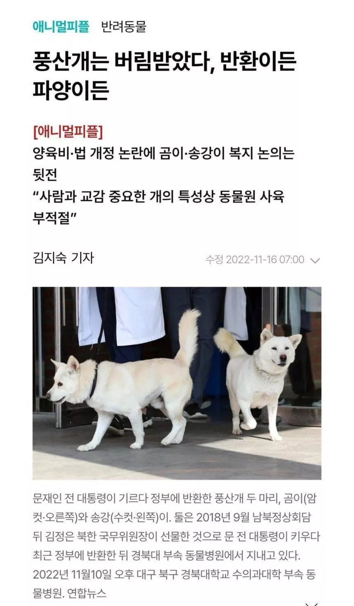 꿈과 미래의 티커 tweet media