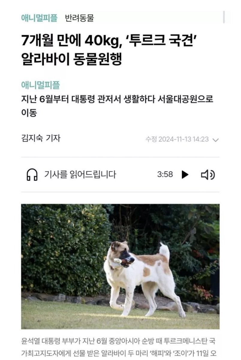 꿈과 미래의 티커 tweet media
