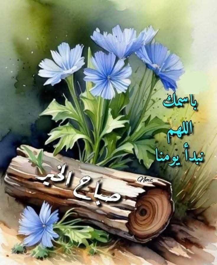 *يمنية وافتخر* (@soso00474224) on Twitter photo 