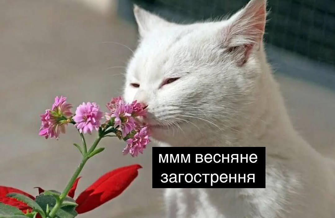 Доброго ранку