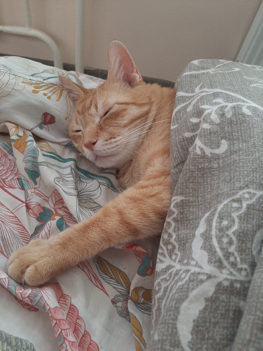 Утро субботы be like...