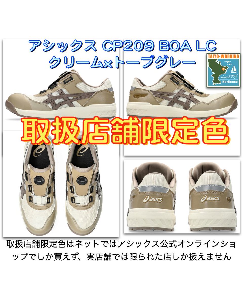 安全靴情報]今日はアシックス209の限定色クリームをご紹介😃 今年から