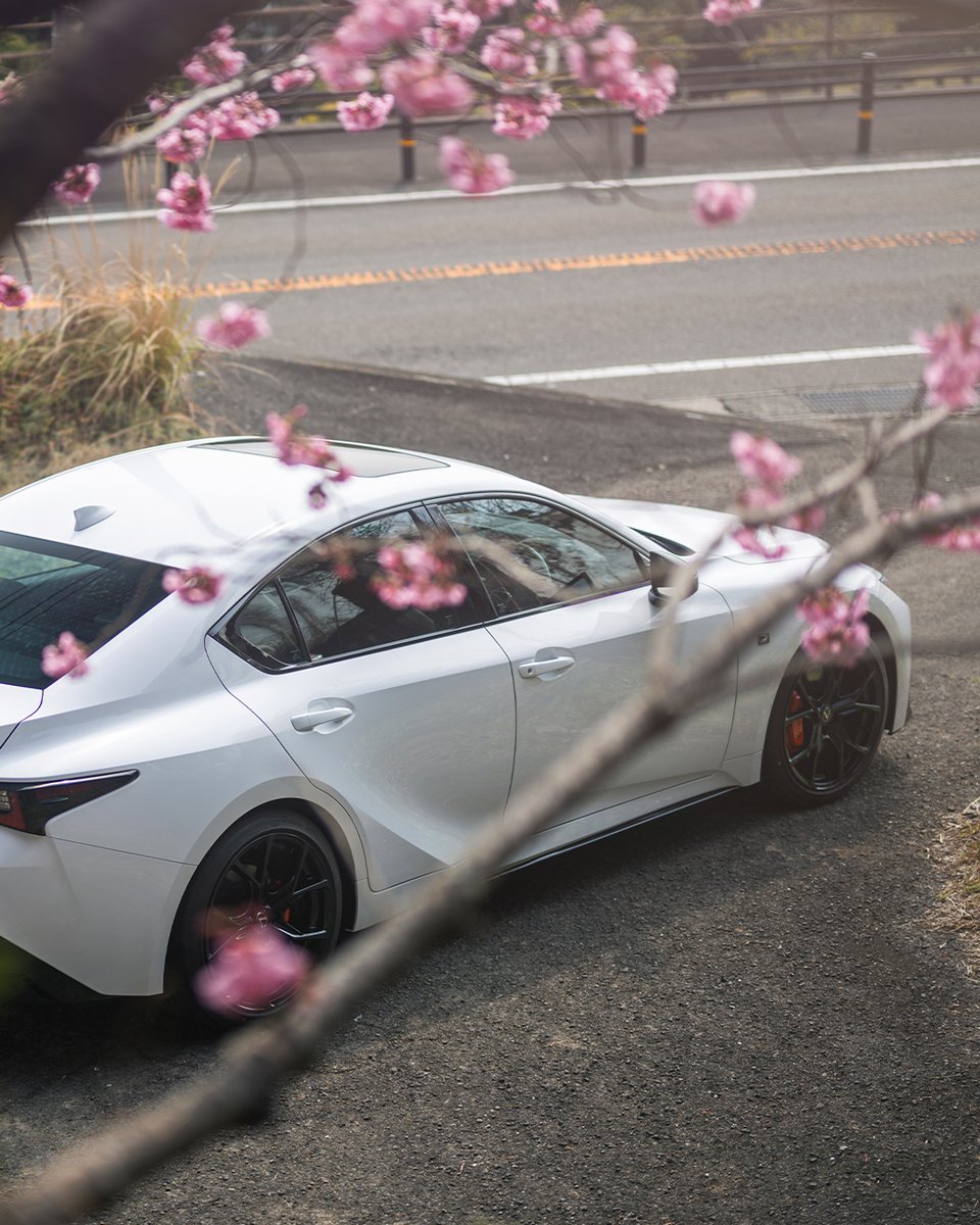 lexus_jpn's tweet photo. - LEXUS IS -

#LEXUS #レクサス #LEXUSIS
#sakura #桜 #レクサスと日本の風景 https://t.co/HdoBBqEaIq