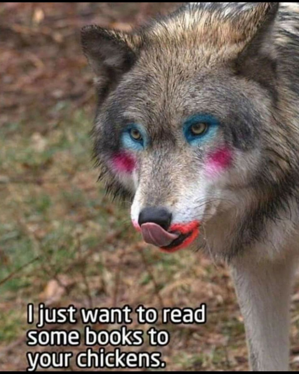 <a href="/libsoftiktok/">Libs of TikTok</a> 💯