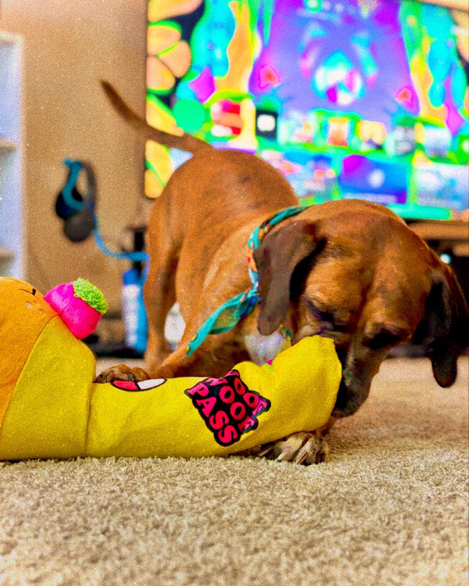 CookiesPeoriaIL's tweet photo. πͺ This pup πΆ is ready for Easter 420! π£π° Are you?! π
Stop in for DOPE deals. π π₯
WOOF WOOF PASS! π¨
#woofwoofpass #shopnow #holidaze #easter #eastersunday #easter420 #cookies #cookiesfam #lifestyle #berner #stayhigh #comethru #deals #sales #barkbox #passthegoodvibes https://t.co/wfoK8EJkeQ