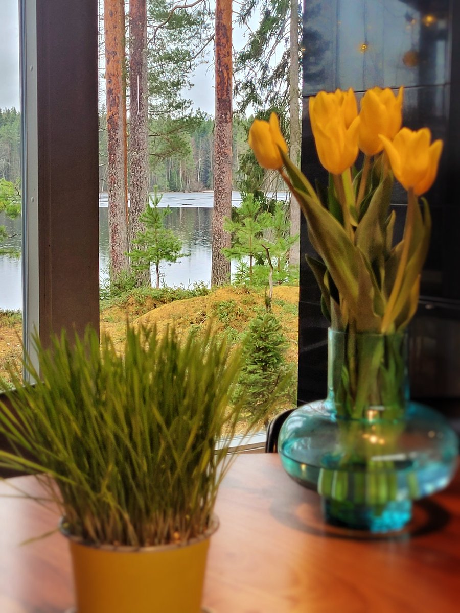 Timo Määttä tweet media